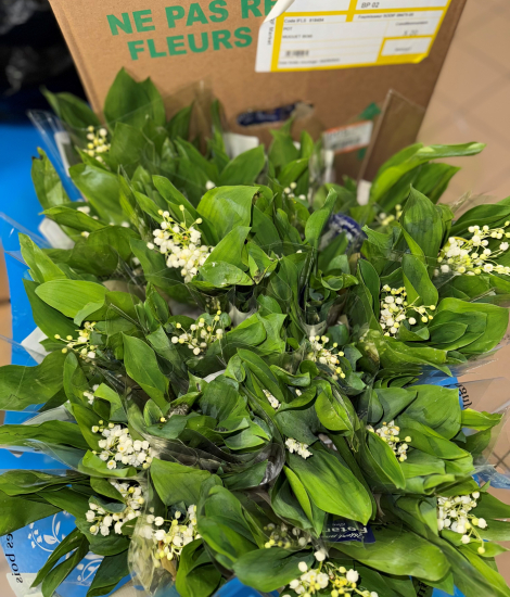 muguet-gex-2
