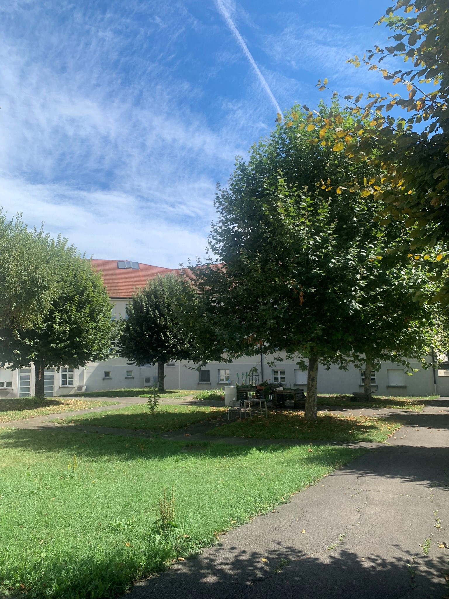 chemin-beton-potager-2