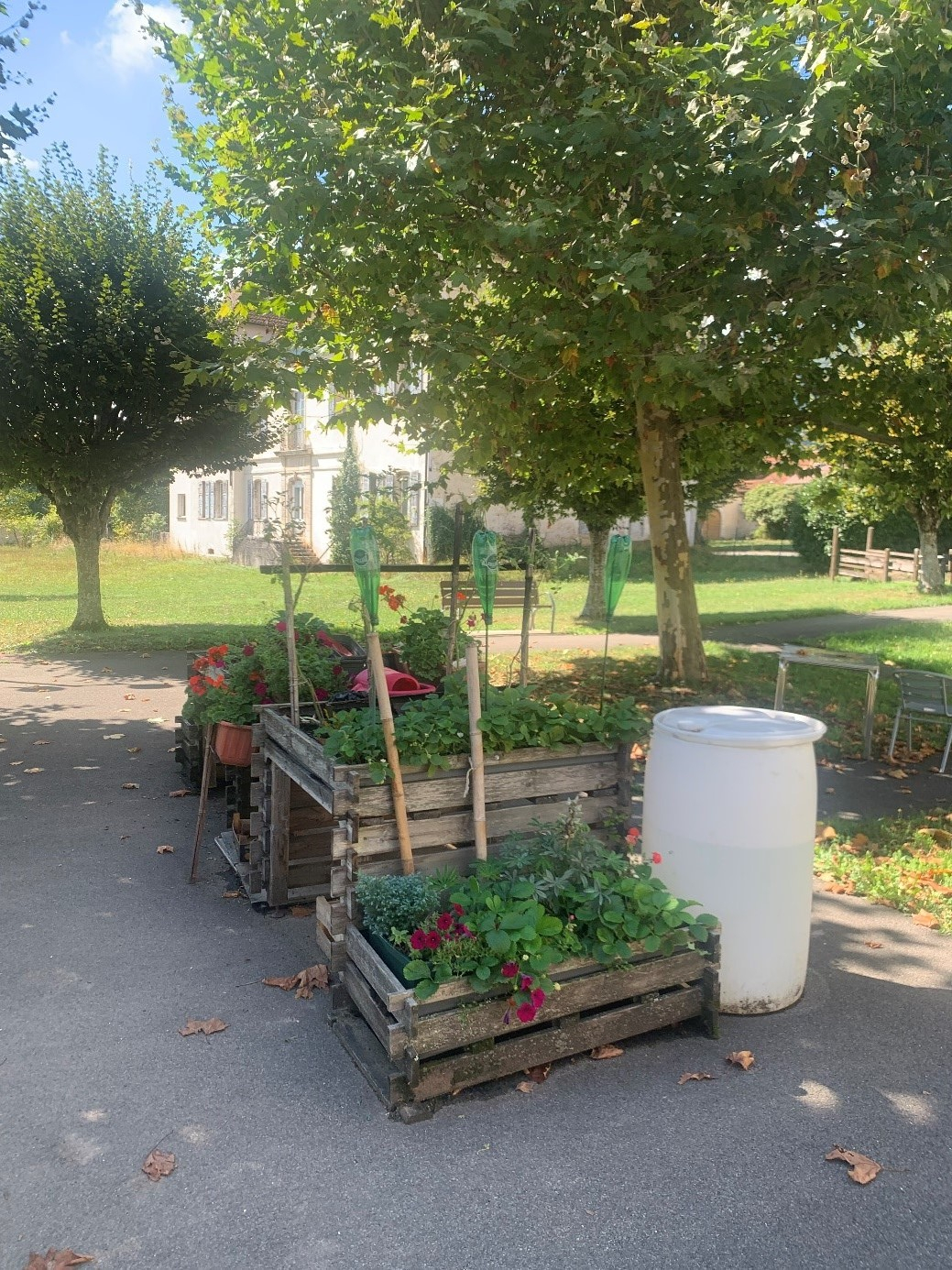 Potager-1.jpeg potager-1.jpeg